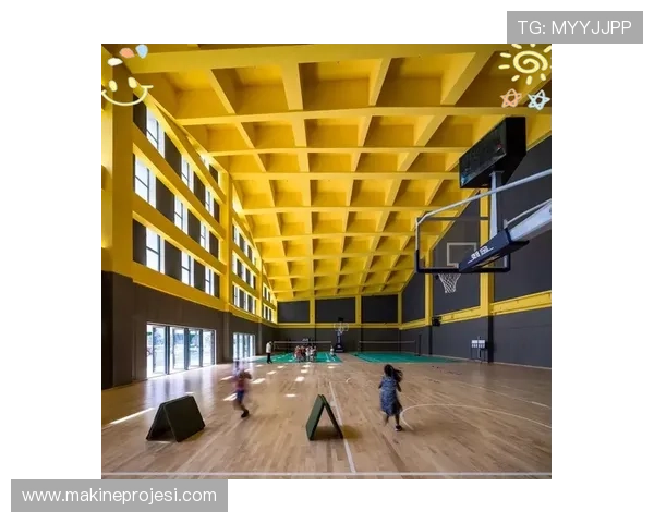 lt体育馆内部环境与设施设备全面解析，打造舒适运动体验的理想场所