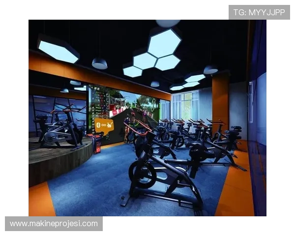 乐动全体育下载后如何设置个人偏好提升使用体验