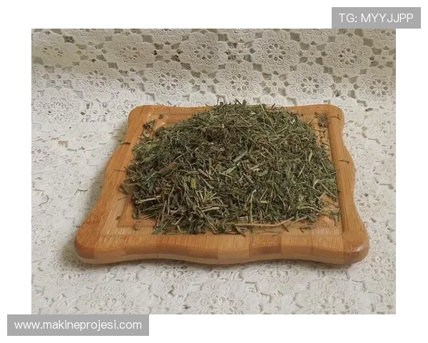 乐投letou瑞丰：全面解析乐投letou平台的优势与特色