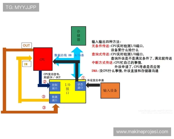 体育备用器材的维护与存放管理确保设备随时可用